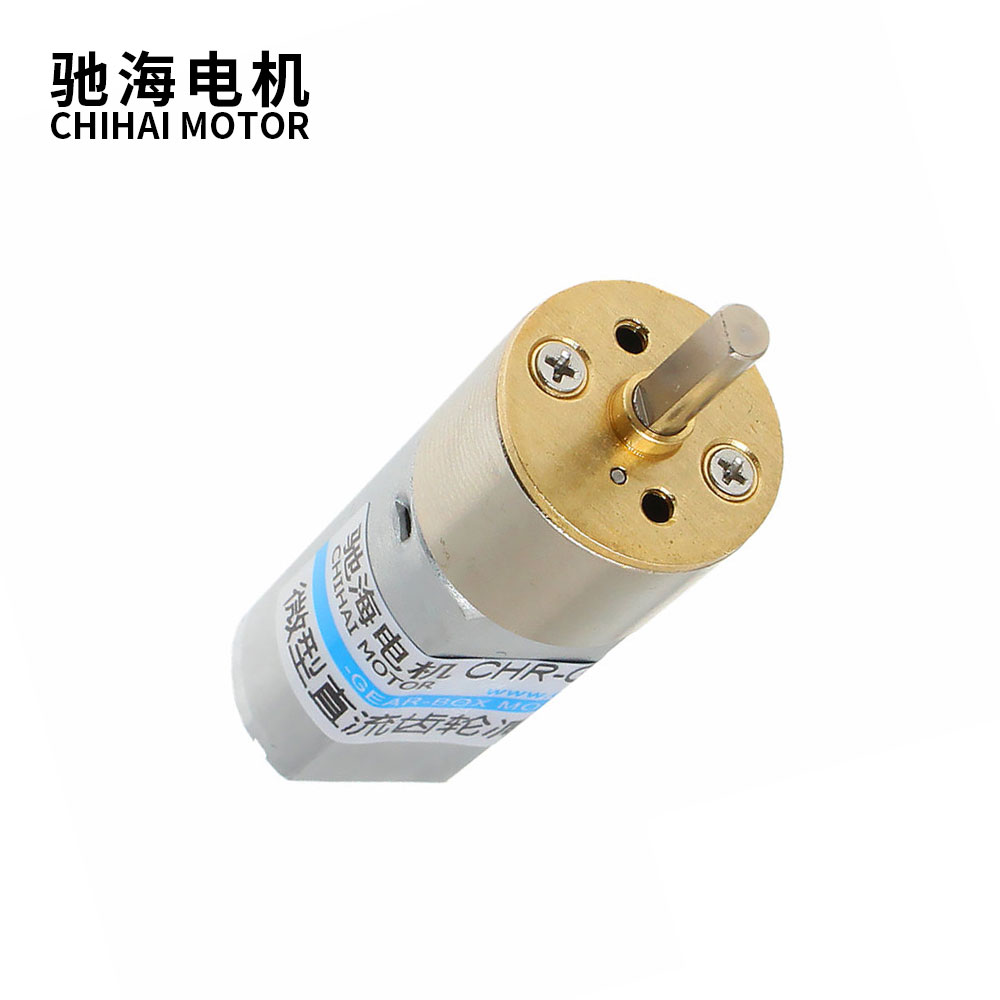 Chihai Motor DC 3V 6V 12V 24V  - Diy Automation Projects ulasan dan harga